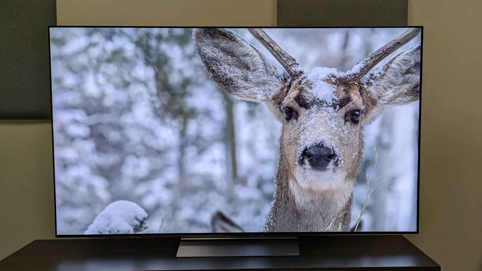 Televizor OLED de top, redus la jumătate de preț pe Amazon înainte de Black Friday