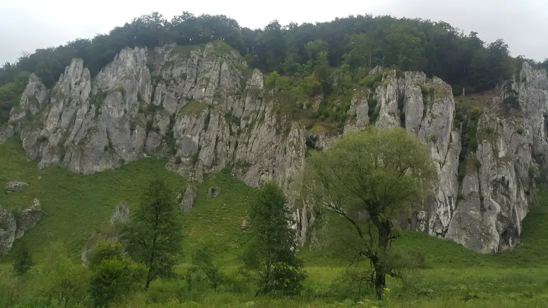 Băncile coreene, ținte ale unui val nou de atacuri cibernetice cu AI